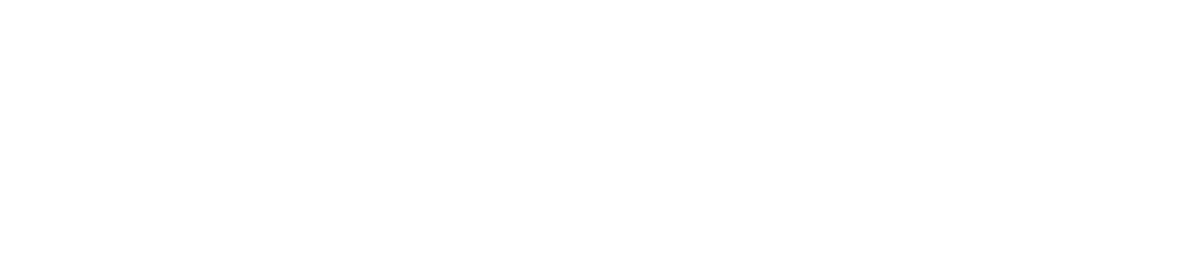 Designed & Developed in Germany